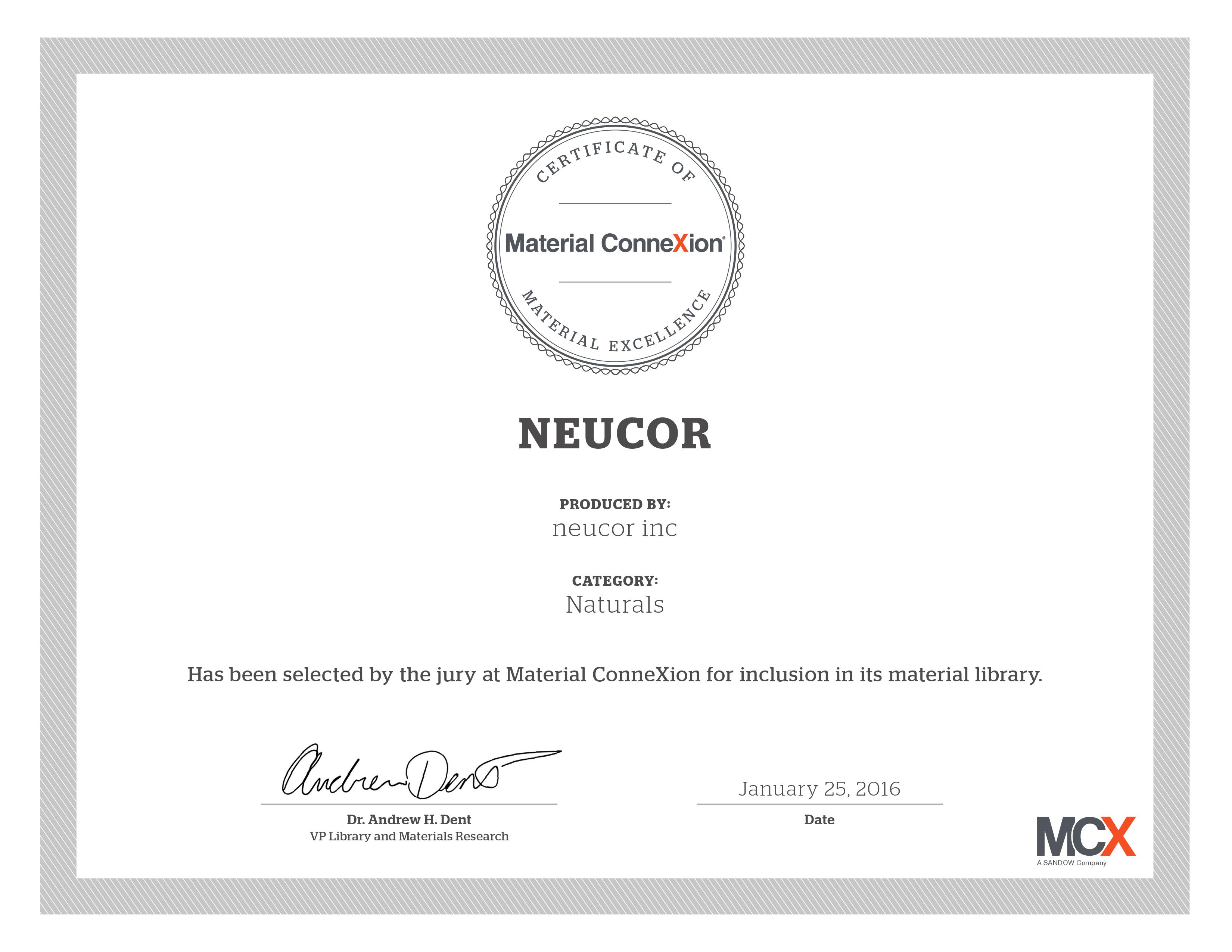 certificate_of_excellence_neucor.jpg